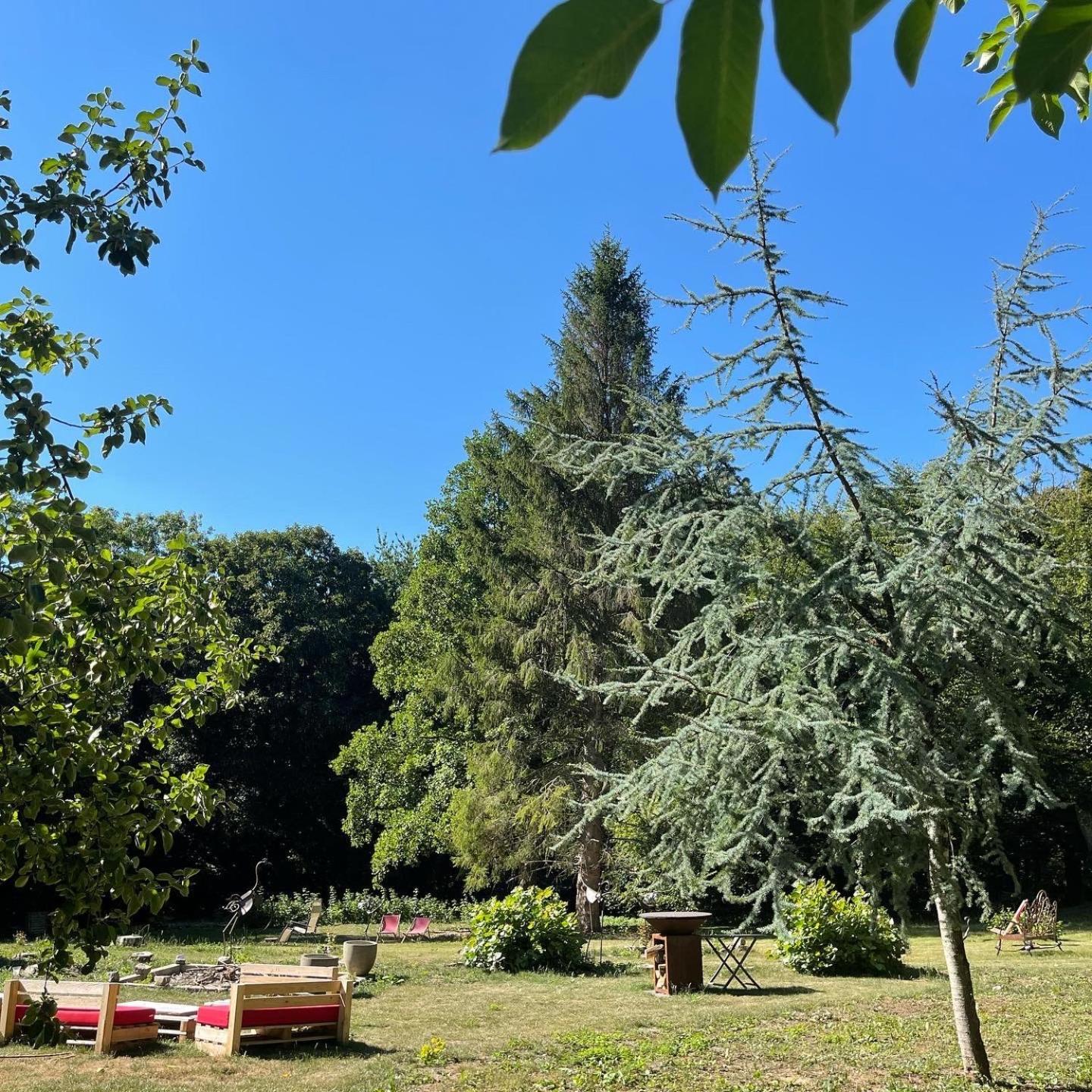Domaine De Fresnoy Bed and Breakfast Loison-sur-Créquoise Buitenkant foto