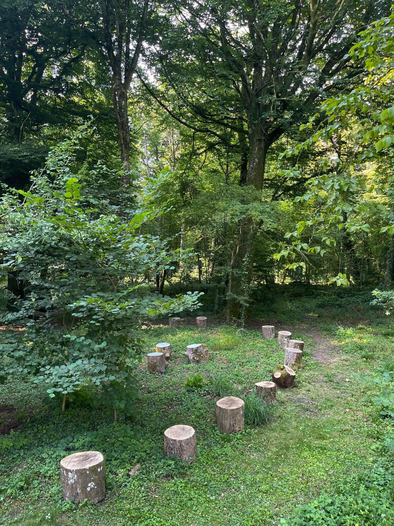 Domaine De Fresnoy Bed and Breakfast Loison-sur-Créquoise Buitenkant foto