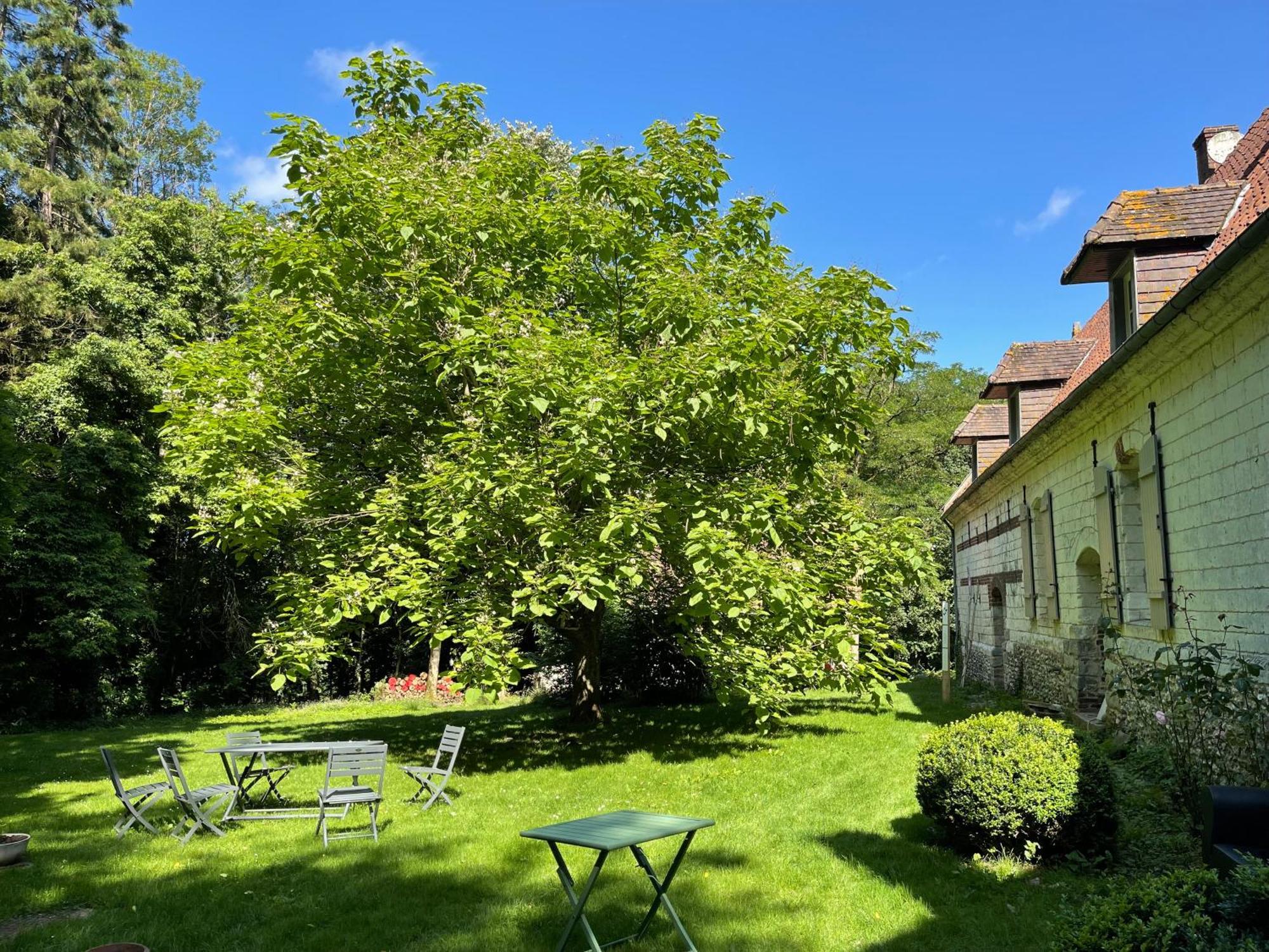 Domaine De Fresnoy Bed and Breakfast Loison-sur-Créquoise Buitenkant foto